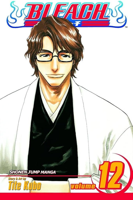 Bleach, Vol. 12