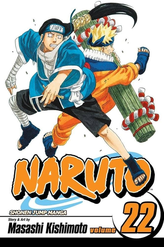 Naruto, Vol. 22