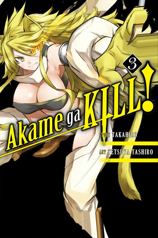 Akame Ga Kill!, Vol. 03