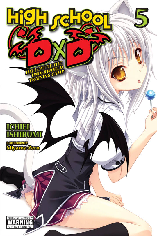 High School DxD, Vol. 5 (Novel, Mature)