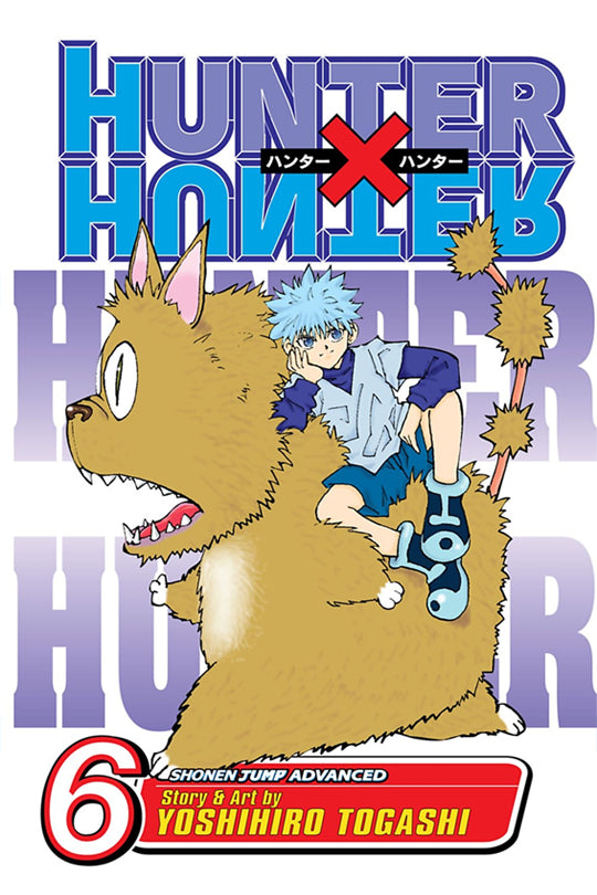 HUNTER X HUNTER, VOL. 06